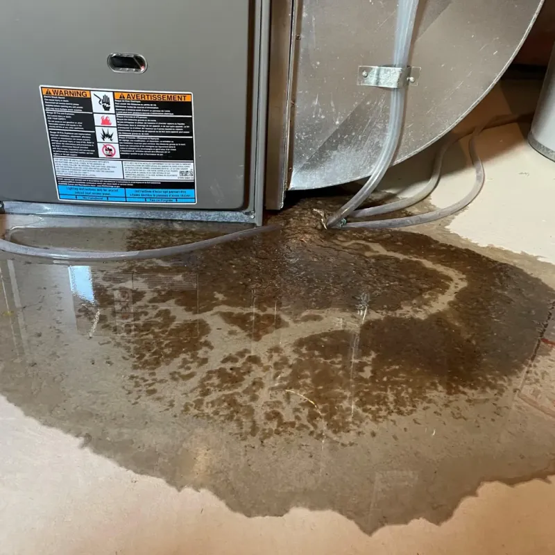 Appliance Leak Cleanup in Archer County, TX