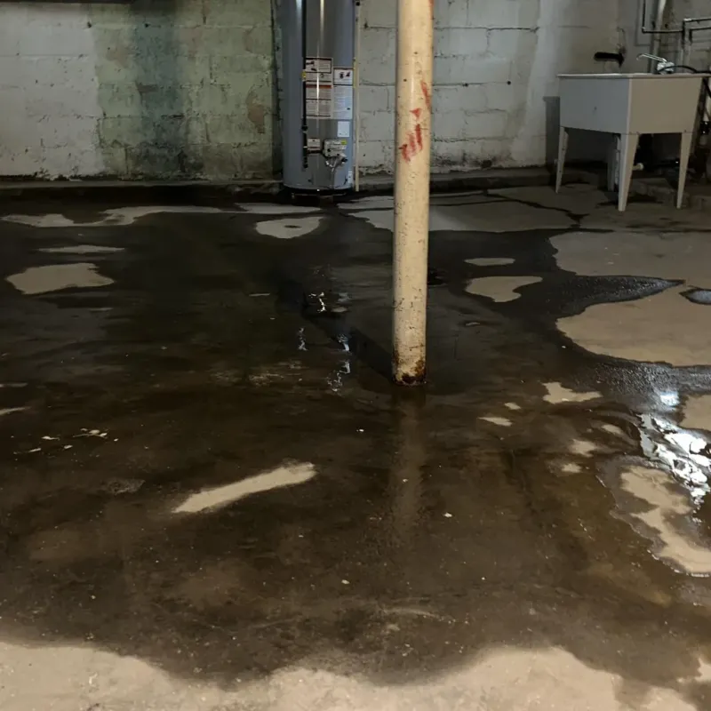 Emergency Water Extraction And Removal in Archer County, TX